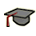 Courses at the NDC