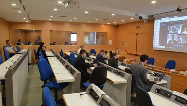  NDC participants to the Research Division webinar on “NATO 2030: Adapting NATO to grey zone challenges”