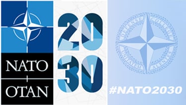  NDC Research Division webinar on NATO Partnerships and Security Networks