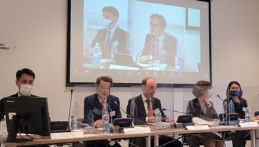  Panel of the Annual NDC-IRSEM Seminar on the Black Sea Region
