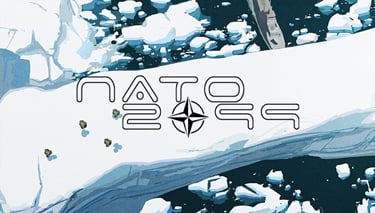 NATO 2099 : A graphic novel