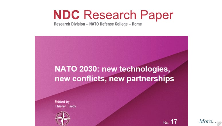 NDC Research Paper 17
