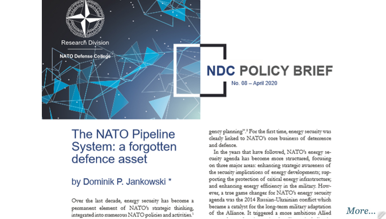 NDC Policy Brief 8-20
