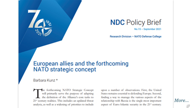 European allies and the forthcoming NATO strategic concept