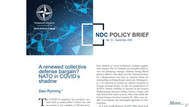 NDC Policy Brief 16-20