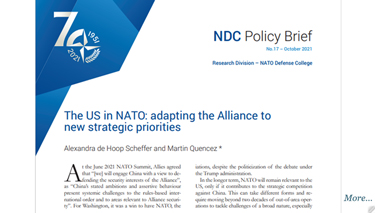 The US in NATO: adapting the Alliance to new strategic priorities