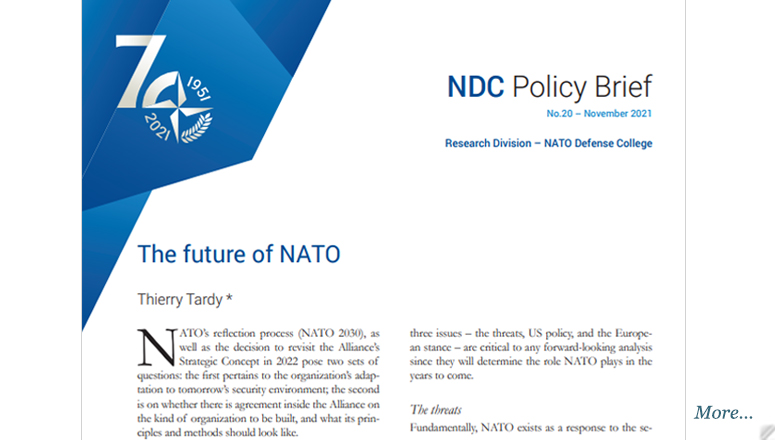 NDC Policy Brief 20-21