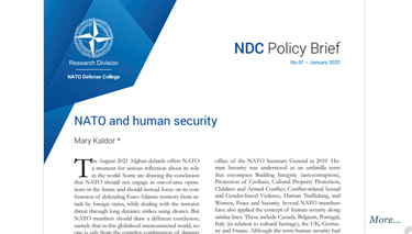 NATO and human security