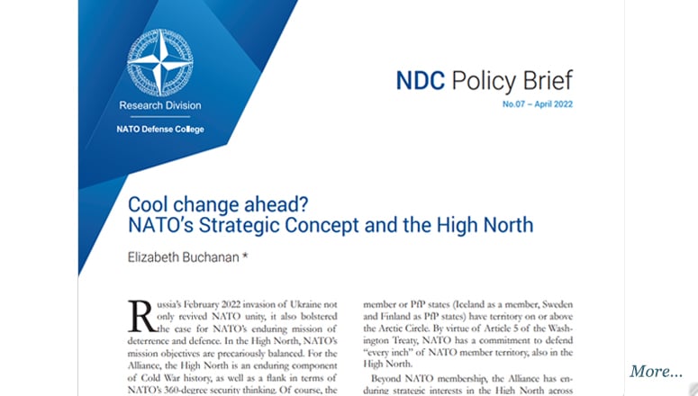 NDC Policy Brief 07