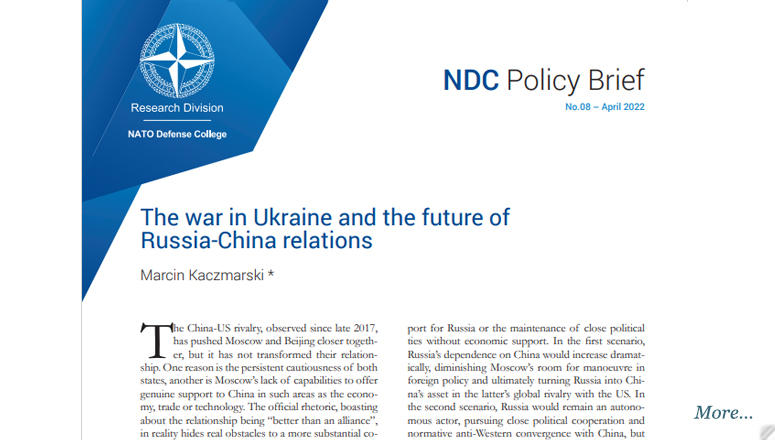 NDC Policy Brief 08
