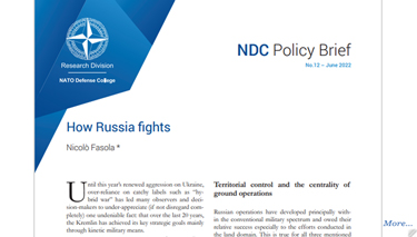 NDC Policy Brief 12