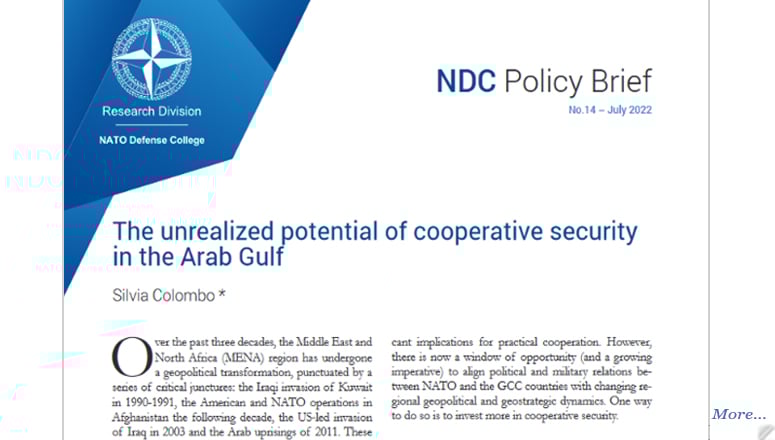 NDC Policy Brief 14