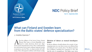 What can Finland and Sweden learn from the Baltic states’ defence specialization?
