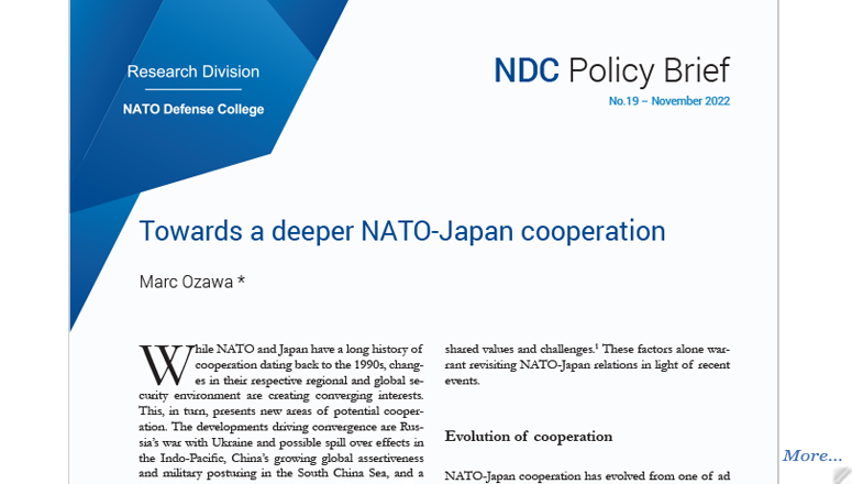 NDC Policy Brief 19