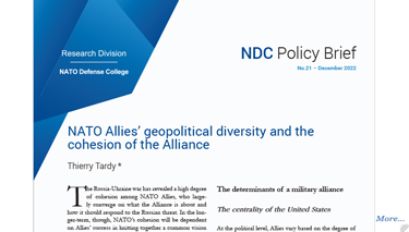 NATO Allies’ geopolitical diversity and the cohesion of the Alliance
