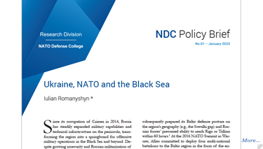 Ukraine, NATO and the Black Sea