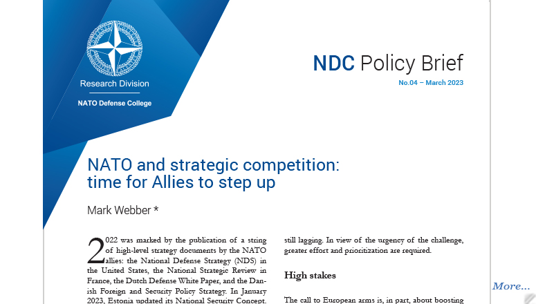 NDC Policy Brief 04