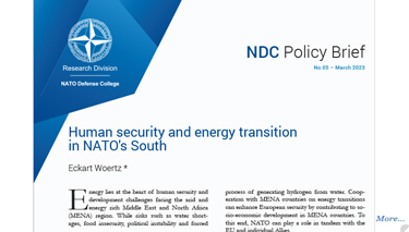 Human security and energy transition in NATO’s South