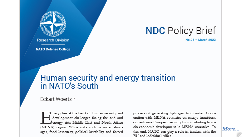 NDC Policy Brief 05