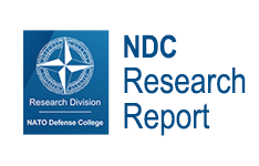 ResearchReport234x150