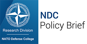 ndc_policy_brief