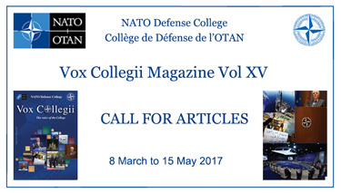 Call_for_Articles_Vox_XV_1