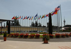 NDC_Flags_1