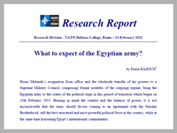report_feb11_2_1